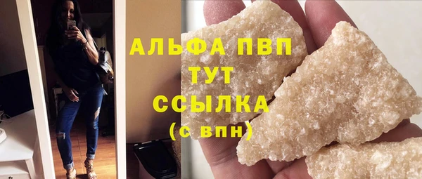 дурь Богданович